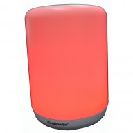 Mini Speaker   USB SD BT